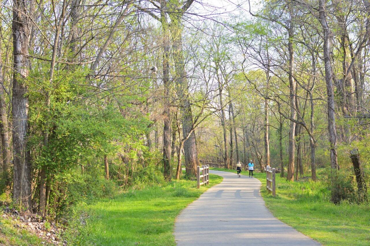 3 pexels-william-finn-1447383610-36783132 A paved walking trail winding through a lush green forest with tall trees while people stroll along the path.